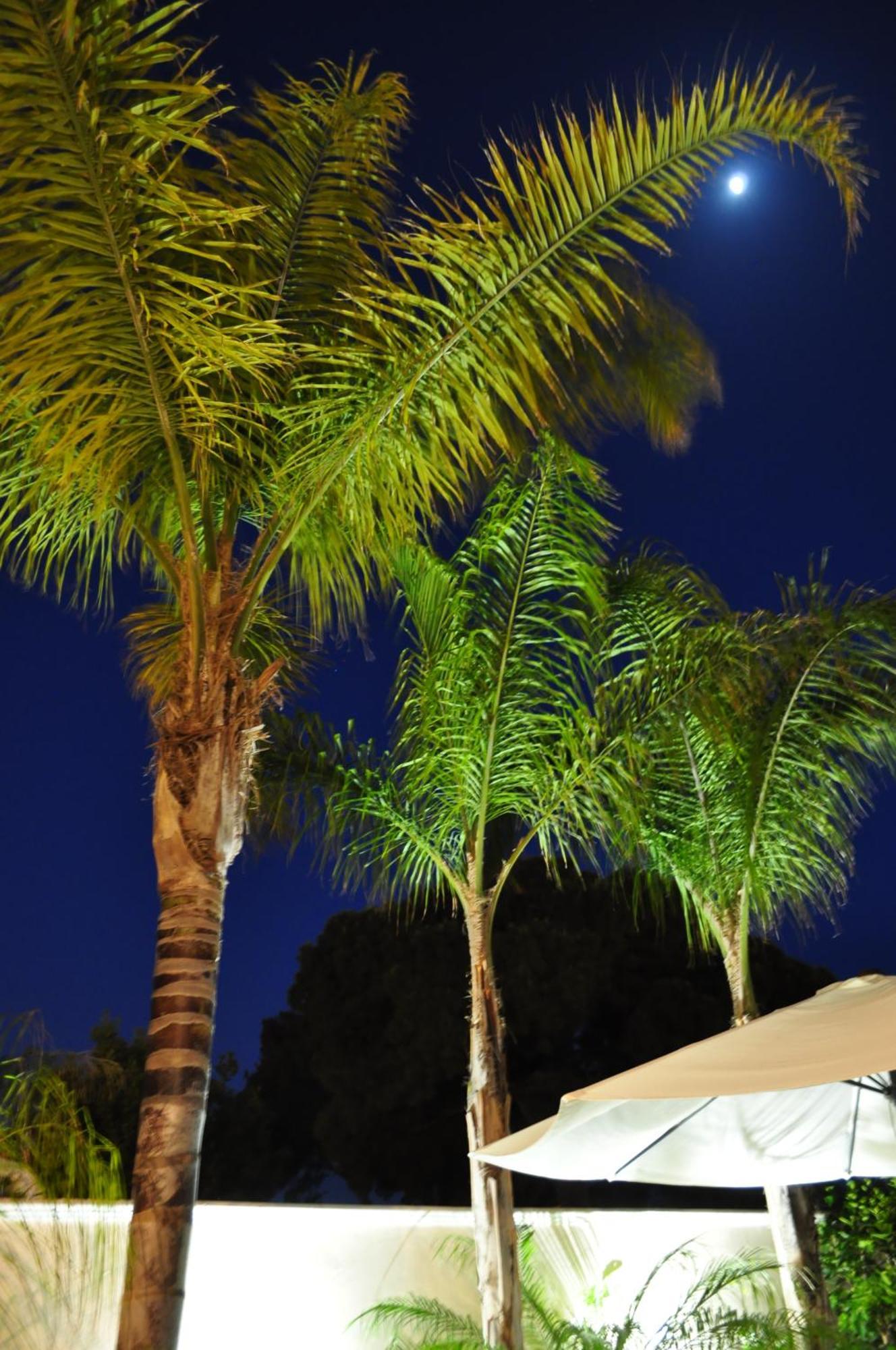 7 Contrade Bed & Breakfast Taranto Exterior photo